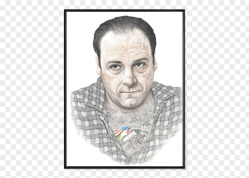 Cinco De Mayo Poster Tony Soprano Illustration United States Internal Link PNG
