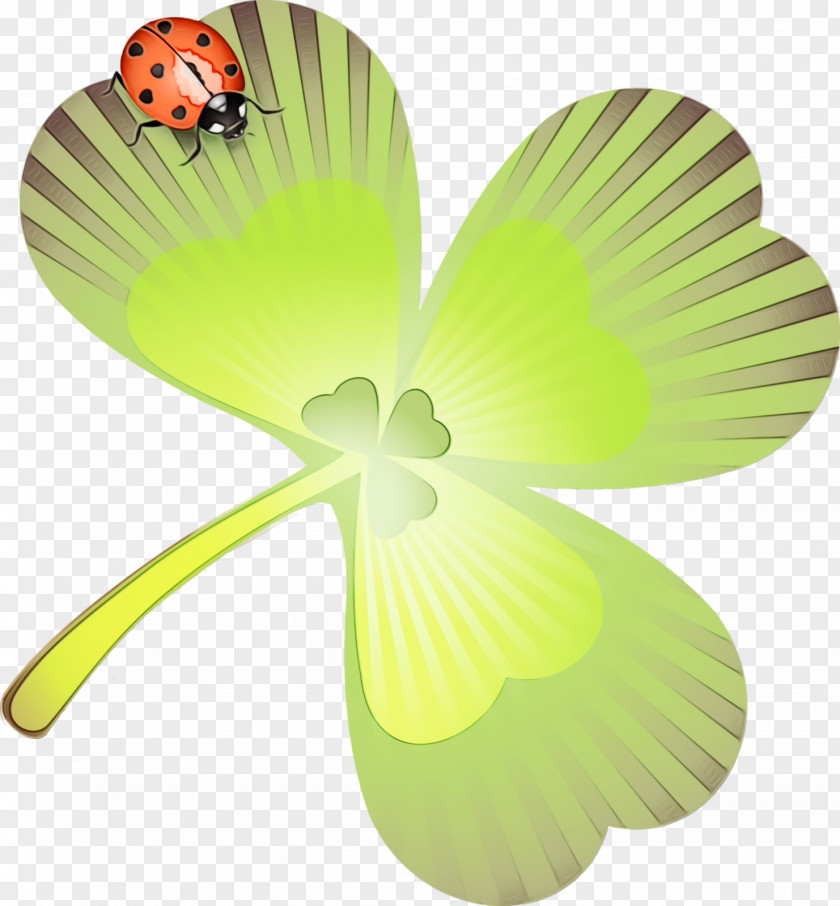 Green Leaf Butterfly Yellow Plant PNG