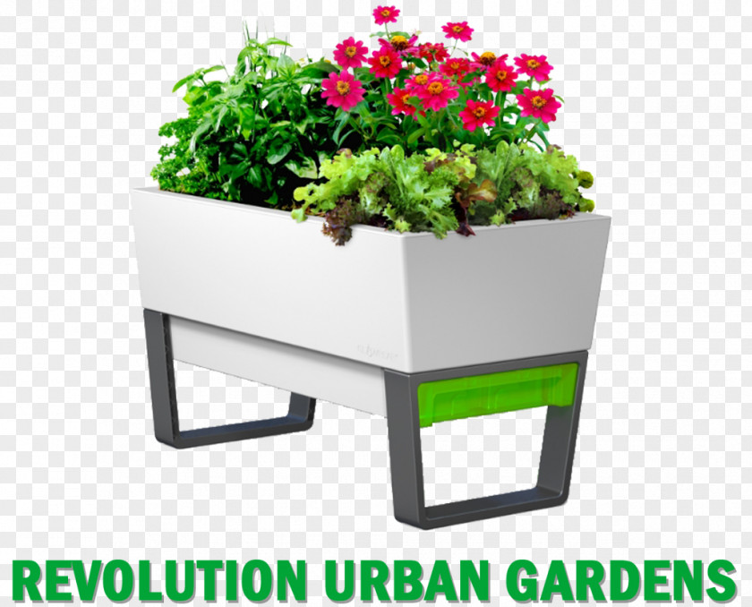 Growing Plant Gardening Flower Box Watering Cans Flowerpot PNG