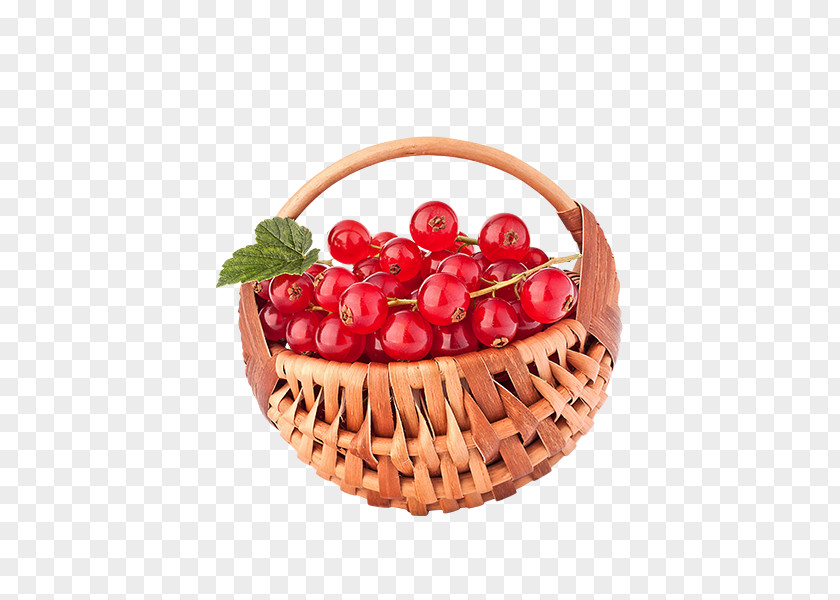 Internet Element Redcurrant Fruit Cranberry Berries Illustration PNG