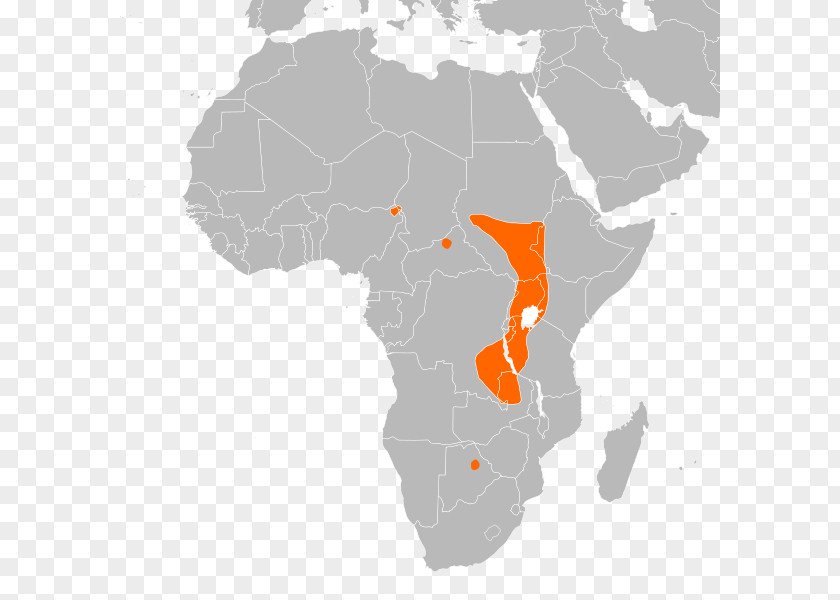 Somalia Somali Region Djibouti Eritrea Adal Sultanate PNG