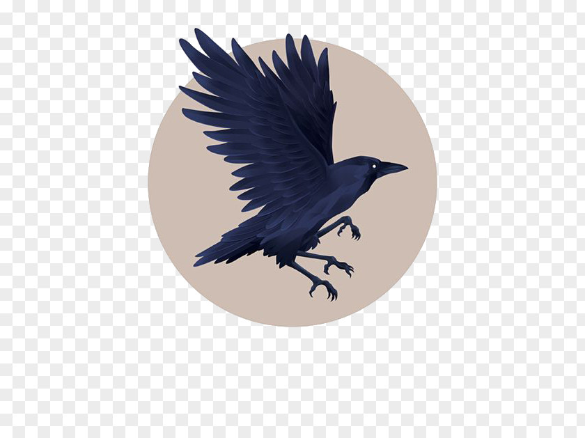 Blue Crow Graphic Design Little Illustration PNG