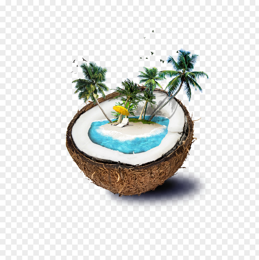 Coconut Fiji Water Beach Island PNG