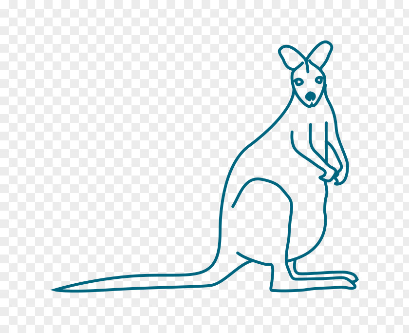 Kangaroo Mouse Macropodidae Domestic Rabbit Clip Art PNG