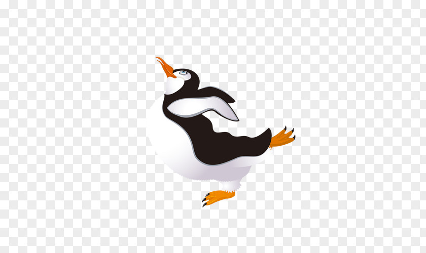 Penguin Bird Obesity Puffin PNG