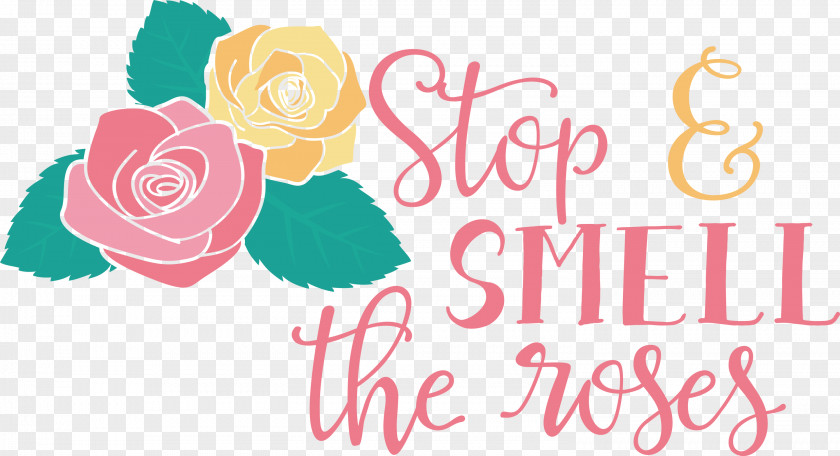 Rose Stop And Smell The Roses PNG