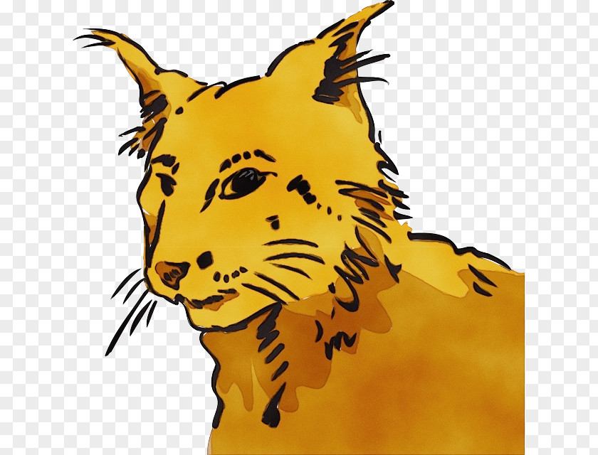 Tail Snout Tiger Lion Whiskers Cat Cougar PNG