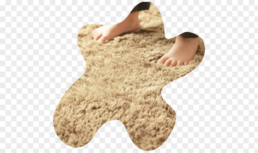 Carpet Clean Mat Bedroom Pile PNG