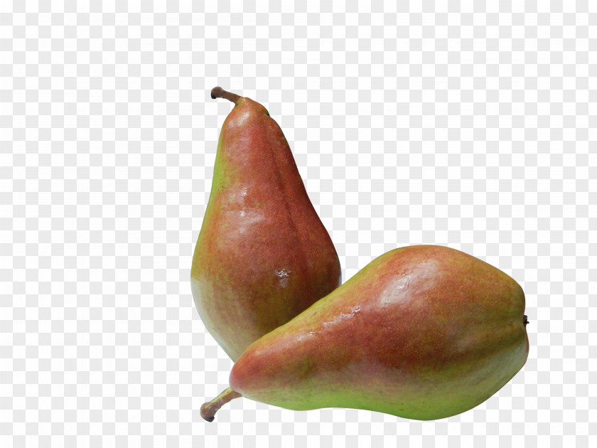 Fruit Stand Pyrus Communis 'Thimo' Logistica Conference Pear PNG