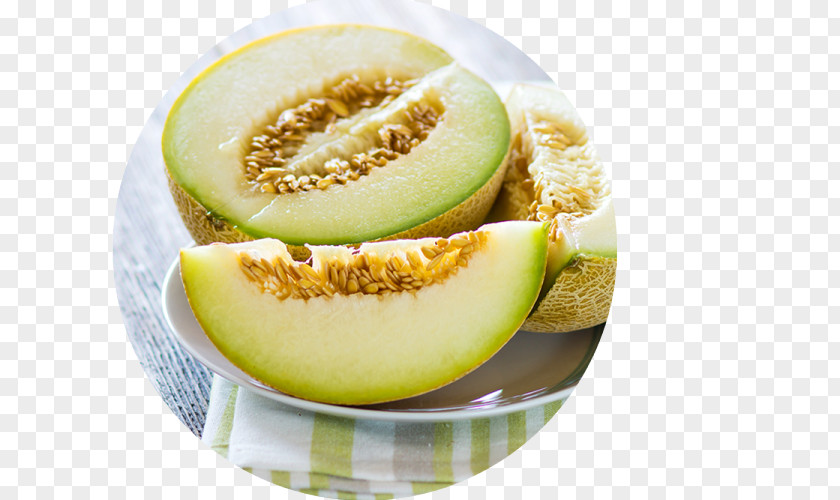 Melon Honeydew Galia Cantaloupe Fruit PNG