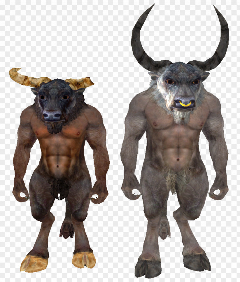 Oblivion Minotaur The Elder Scrolls III: Morrowind Medusa V: Skyrim PNG