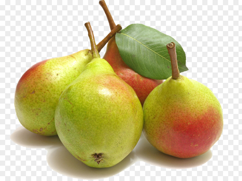 Pear Fruit Asian Williams Pome Rose Family PNG