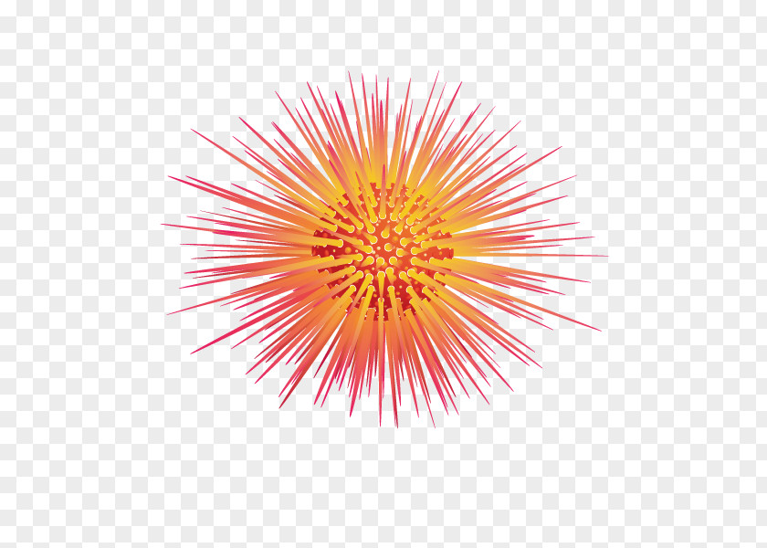 Decorative Pattern,Article Radiation,Apricot Red Sea Urchin Euclidean Vector PNG