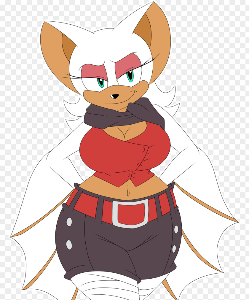 Funny Dress Rouge The Bat Blaze Cat Sonic Boom: Rise Of Lyric Mighty Armadillo Character PNG