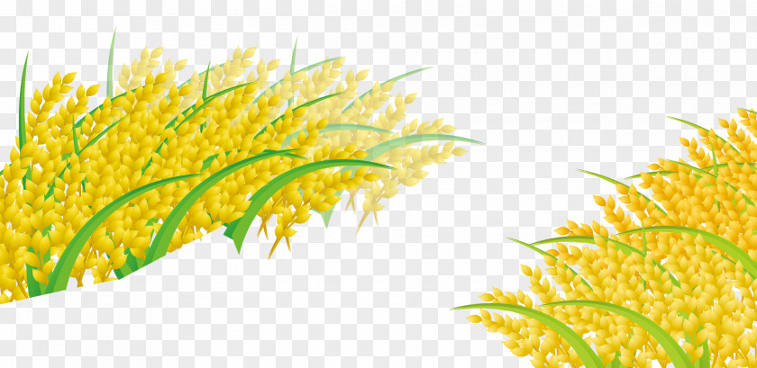 Rice Cereal Computer File PNG