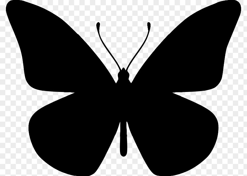 Clip Art Butterfly Illustration Silhouette PNG