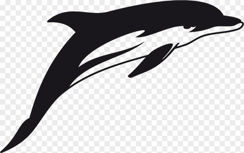 Dolphin Short-beaked Common Tattoo Image Stencil PNG