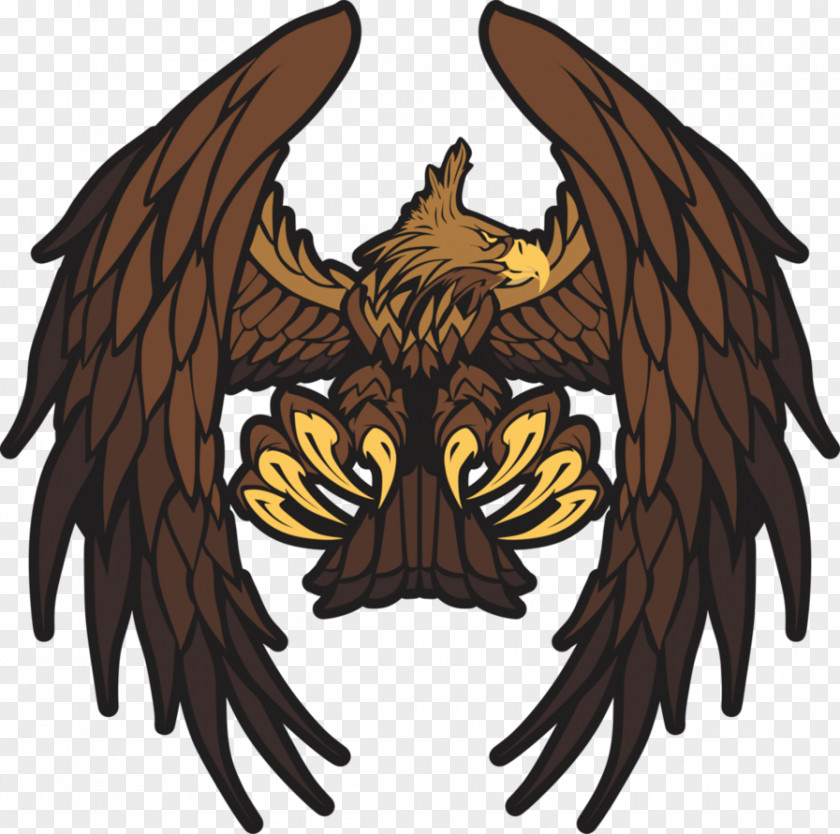 Eagle Bald Hawk Vector Graphics Logo PNG