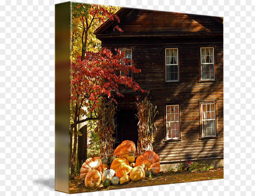 England Autumn Property PNG