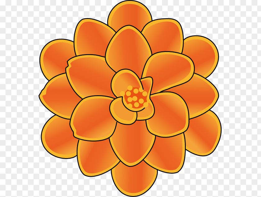 Flower Illust Floral Design Cut Flowers Marigold PNG