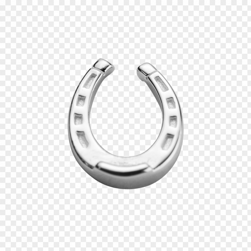 Horseshoe Locket Jewellery Luck Earring PNG
