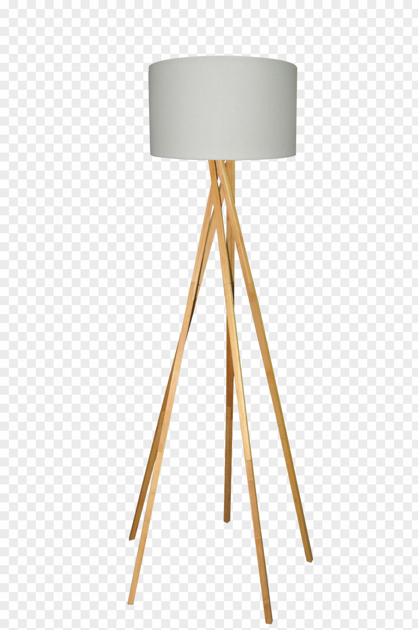 Light Incandescent Bulb LED Lamp Edison Screw PNG