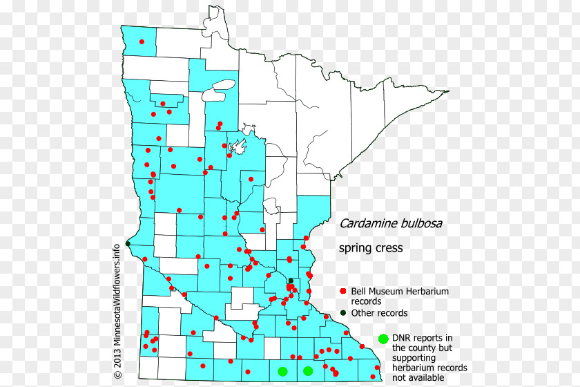 Line Minnesota Point Angle Diagram PNG