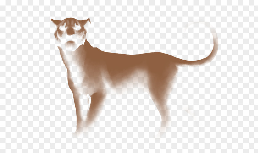 Lion Whiskers Cat Dog Breed PNG