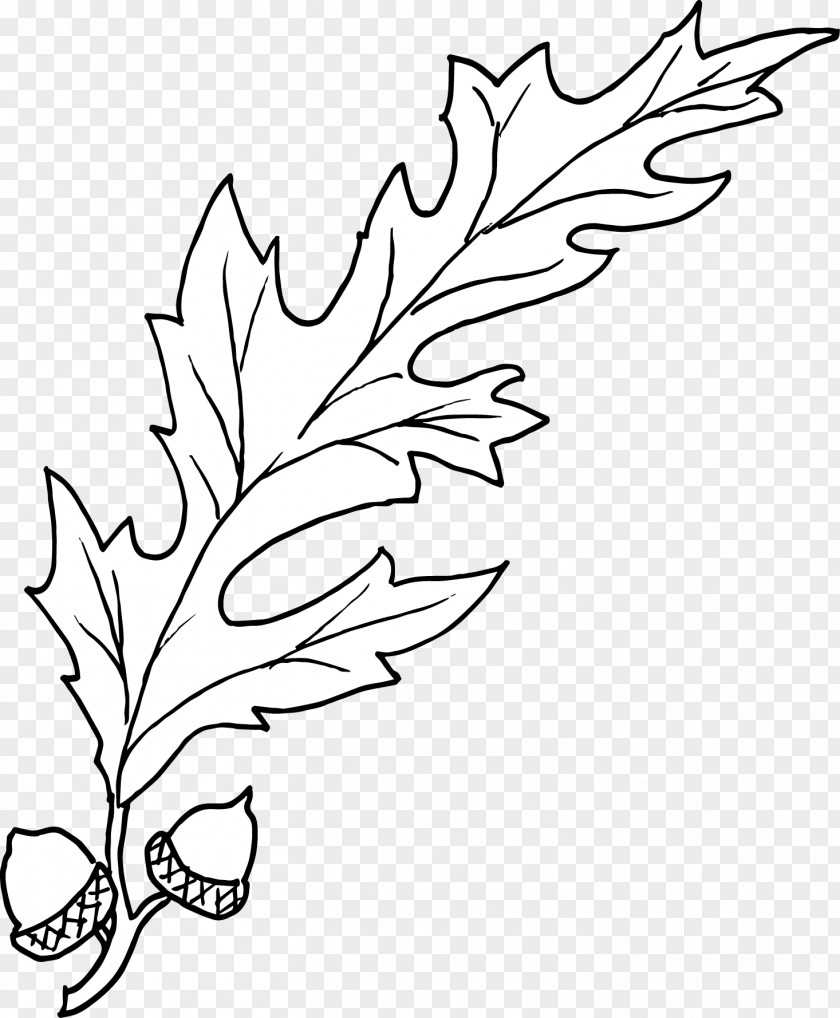 M Floral Design LeafSilverware Tutorials Twig Clip Art Black & White PNG