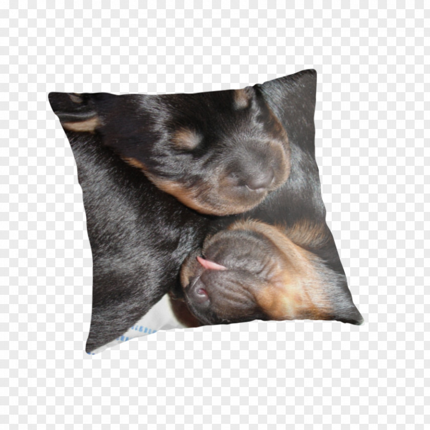 Puppy Manchester Terrier Rottweiler Dog Breed Throw Pillows PNG