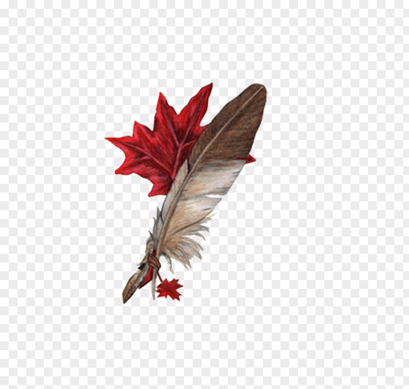 Related Feather Wings Clip Art PNG