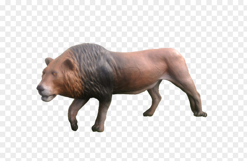 3d Dog Lion Wild Boar Tiger Animal Gray Wolf PNG