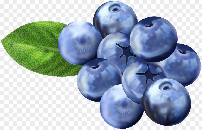 Blueberries Blueberry Grape Bilberry Huckleberry Clip Art PNG
