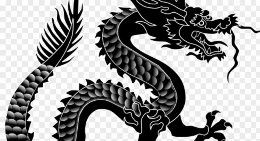 DRAGON CHINO China Chinese Dragon Zodiac New Year PNG