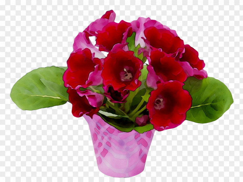 Gloxinia Sinningia Speciosa Plants Primrose Botany PNG