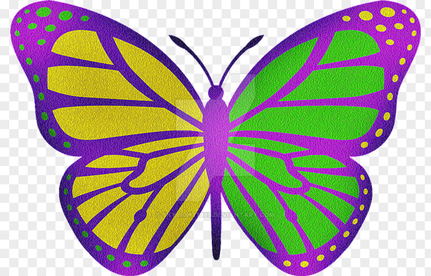 Green Butterfly Monarch Clip Art PNG