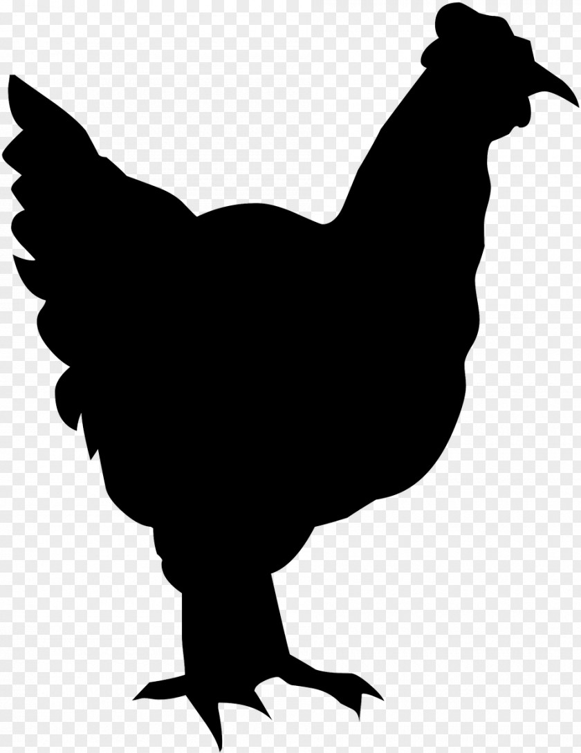Wing Livestock Chicken Rooster Bird Beak Silhouette PNG