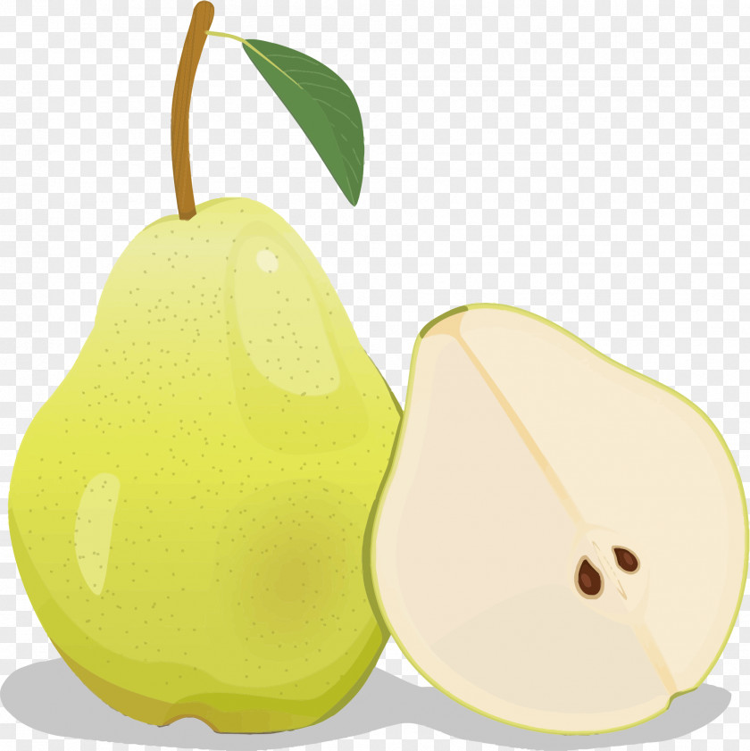 Yellow Pear Juice European Pyrus Xd7 Bretschneideri Clip Art PNG