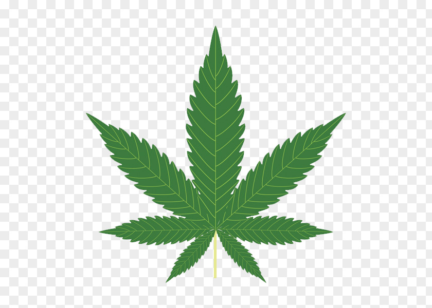 Cannabis Sativa Hemp Legalization PNG