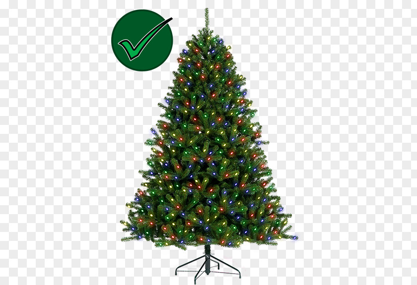 Christmas Tree Artificial Ornament PNG