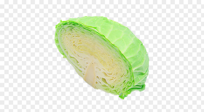 Fresh Cabbage Download PNG