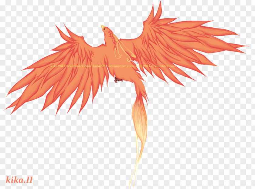 Phoenix Wings Tattoo Feather PNG