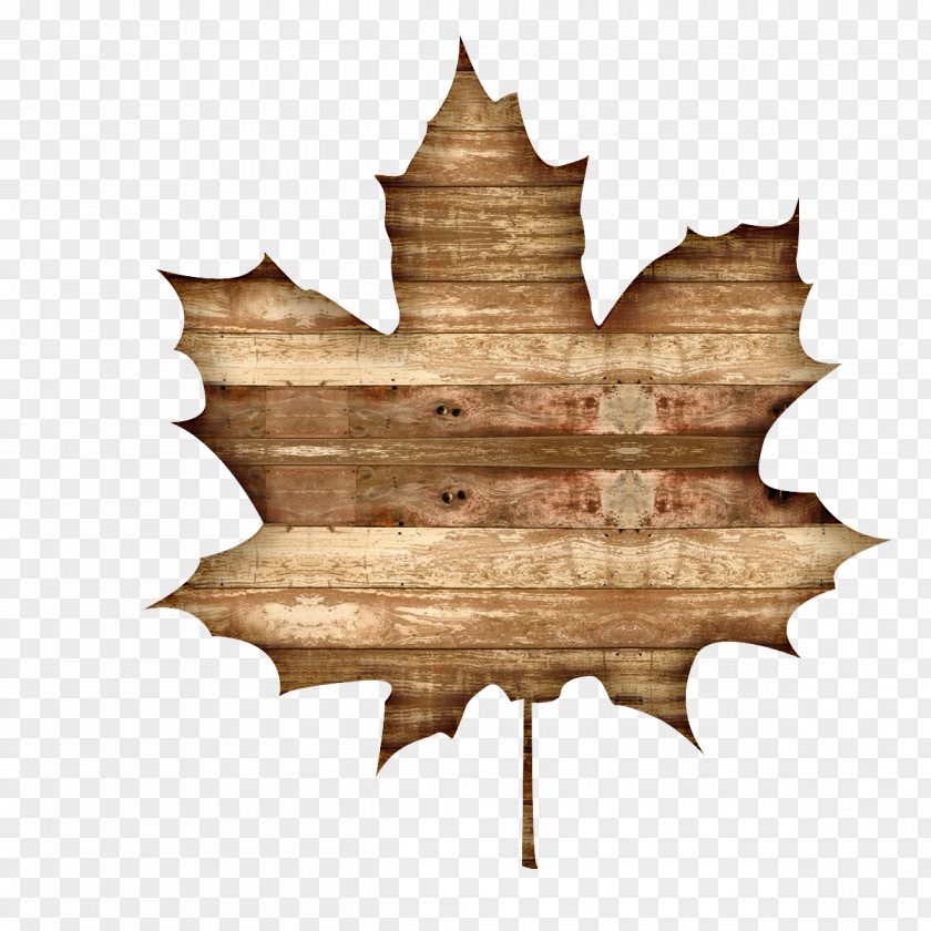 Woods Paper Leaf Wood Table Cell Tree PNG