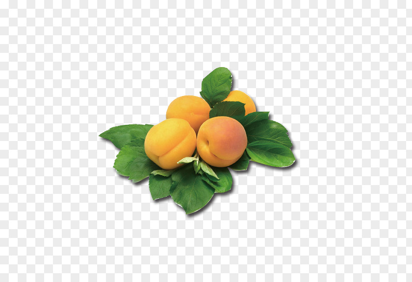 Apricots CARD Peach Apricot Yerevan City Supermarket PNG