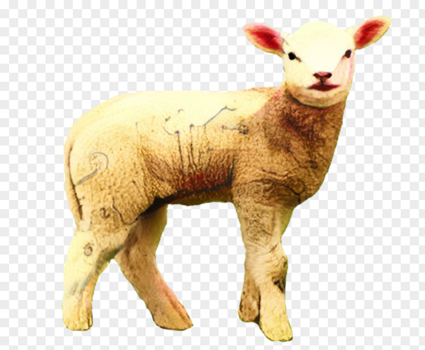 Clip Art Desktop Wallpaper Transparency Lamb And Mutton PNG