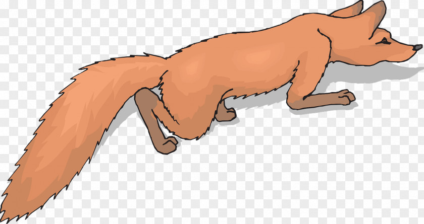 Fox Red Foxtail Clip Art PNG