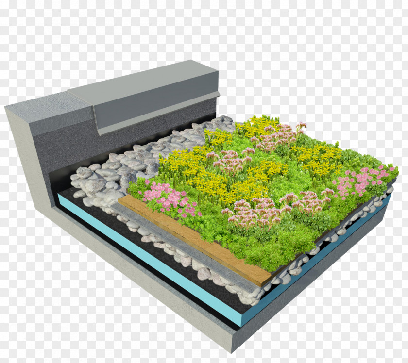 Green Roof Stonecrop American Hydrotech, Inc. Retrofitting PNG