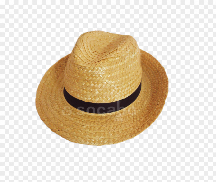 Messenger Hat Capeline Fedora Headgear Newsletter PNG