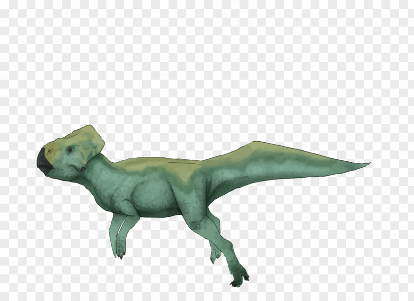Vector Dinosaurs Velociraptor Graciliceratops Ceratopsia Tyrannosaurus Late Cretaceous PNG