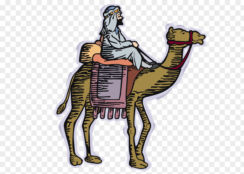 Yi Bactrian Camel Horse Equestrian PNG